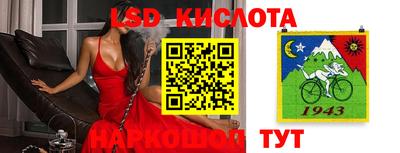 винт Будённовск