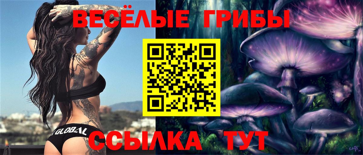 Галлюциногенные грибы прущие грибы  Вход с VPN  где найти   Кызыл 