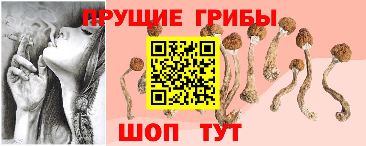 Галлюциногенные грибы мухоморы Кызыл